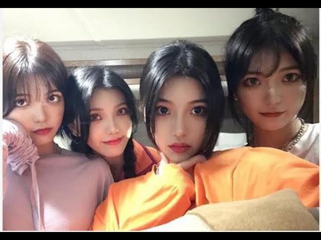 lisa的眼光真毒!冰清玉洁四姐妹遭重创!大姐退赛,二姐三姐掉入f班